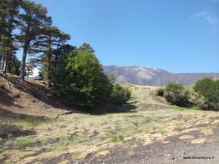 Monte Nero delle Concazze